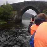Cedar Woodford (Kerry)