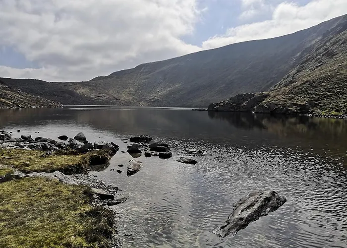 Cedar Woodford (Kerry)