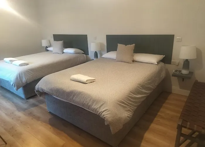 Cedar * Woodford (Kerry)